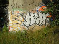 wason