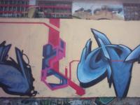 wason