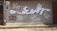 bso019