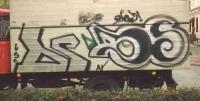 bso207