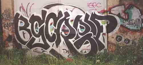 bso216