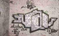 bso219