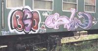 bso229