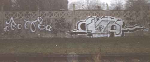 bso236