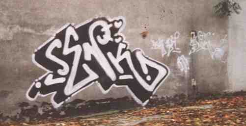 bso239