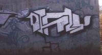 bso243