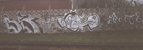 bso244