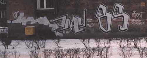 bso254