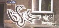 bso261