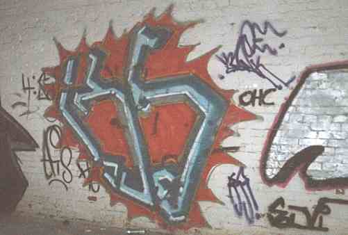 bso313