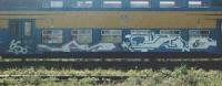 bso419