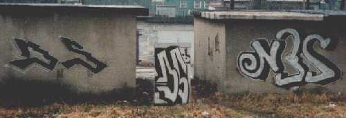 bso427