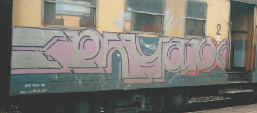 bso441