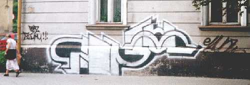 bso442