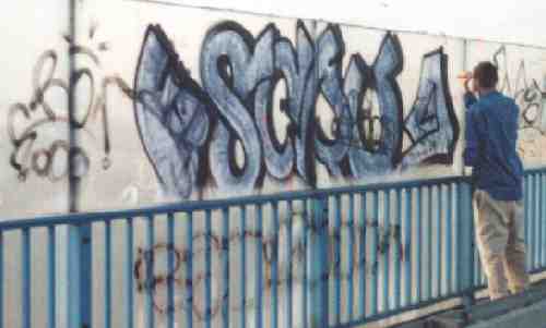 bso445