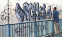 bso445