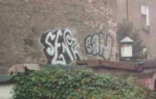 bso446