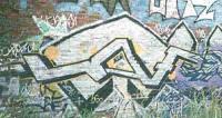 bso447