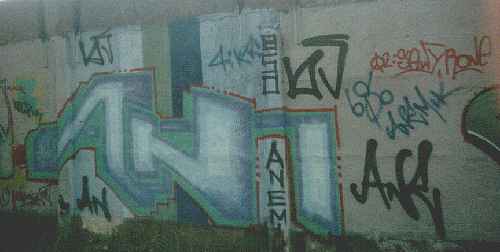 bso451