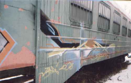 bso502