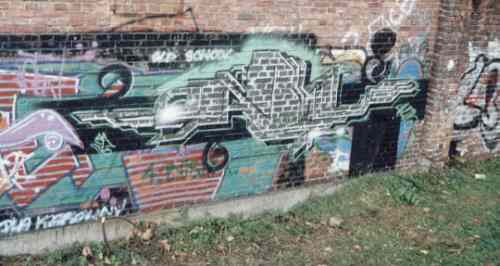 bso517