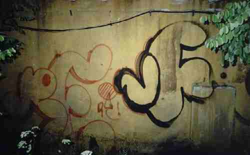 revf