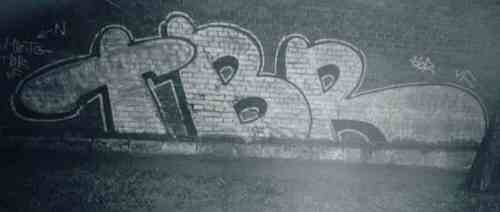 tbr08